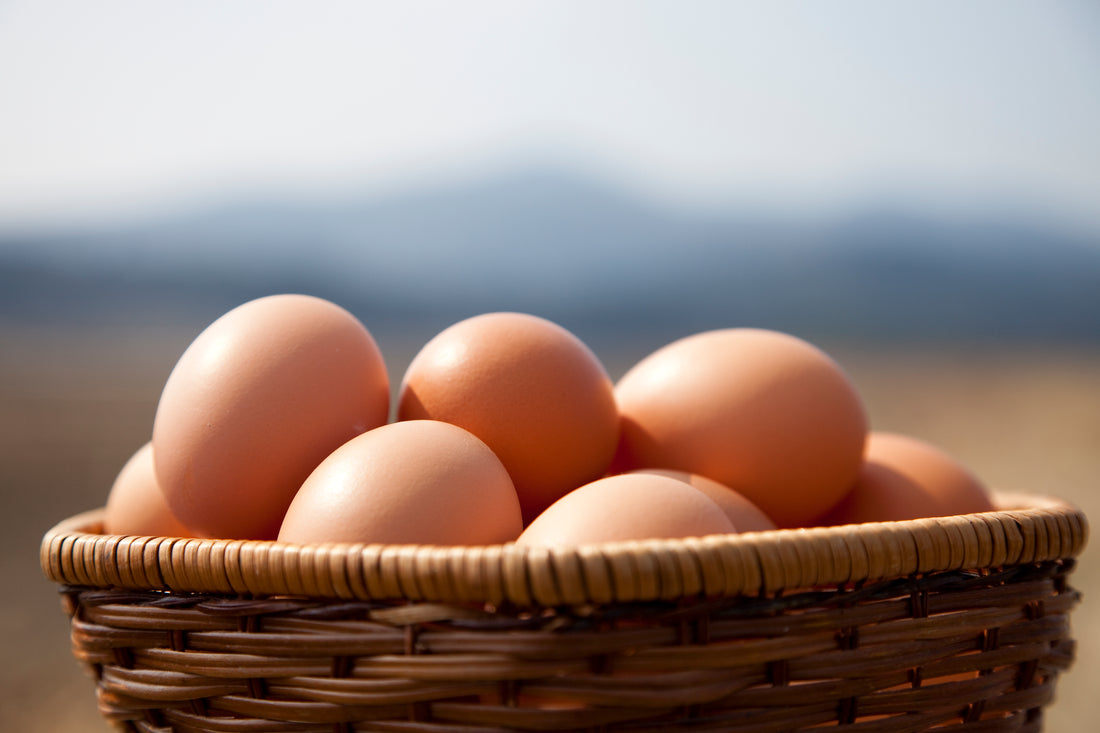 【保存】ゆで卵にすると日持ちしないのはなぜ？
