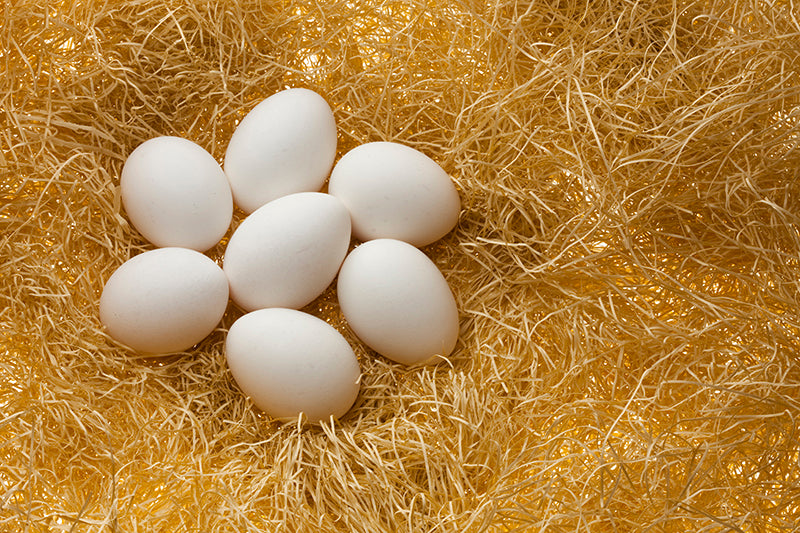 夏場の卵は殻が弱くなりやすくなります