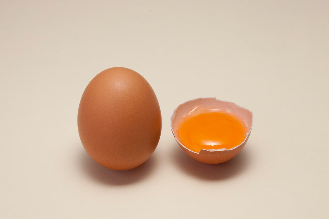 【保存】卵を立てて保存すると好ましいって聞いたけど、本当？